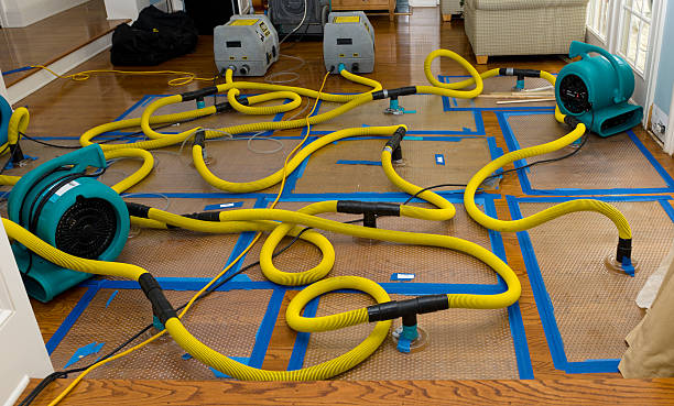 Professional Sewage Cleanup technician working in Anderson, CA